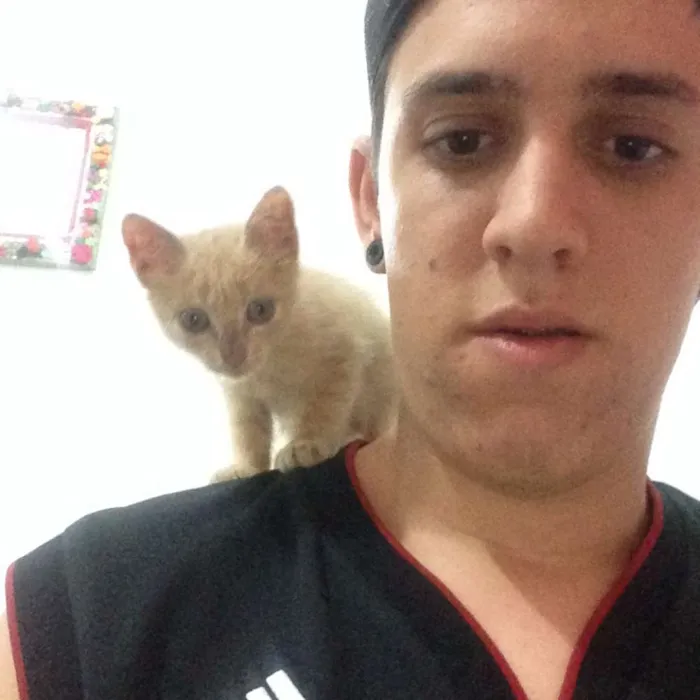 Gato ra a Não sei idade Abaixo de 2 meses nome Minhoquinha