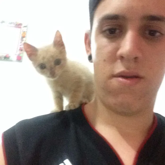 Gato ra a Não sei idade Abaixo de 2 meses nome Minhoquinha