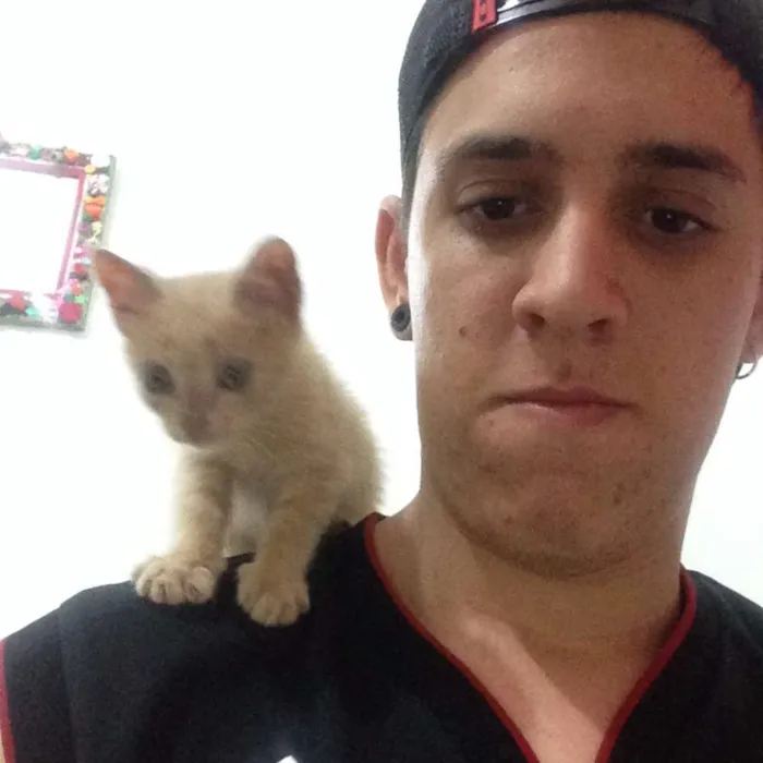 Gato ra a Não sei idade Abaixo de 2 meses nome Minhoquinha