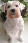 Tobby
