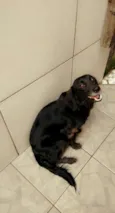 princesa