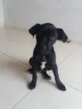 Não tem