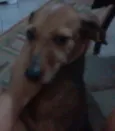 Lilica