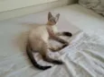 Nicolas
