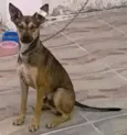BELO