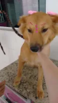 Pipoca e Menino