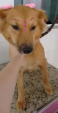 Pipoca e Menino