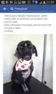 Vitória