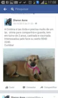 Cristina