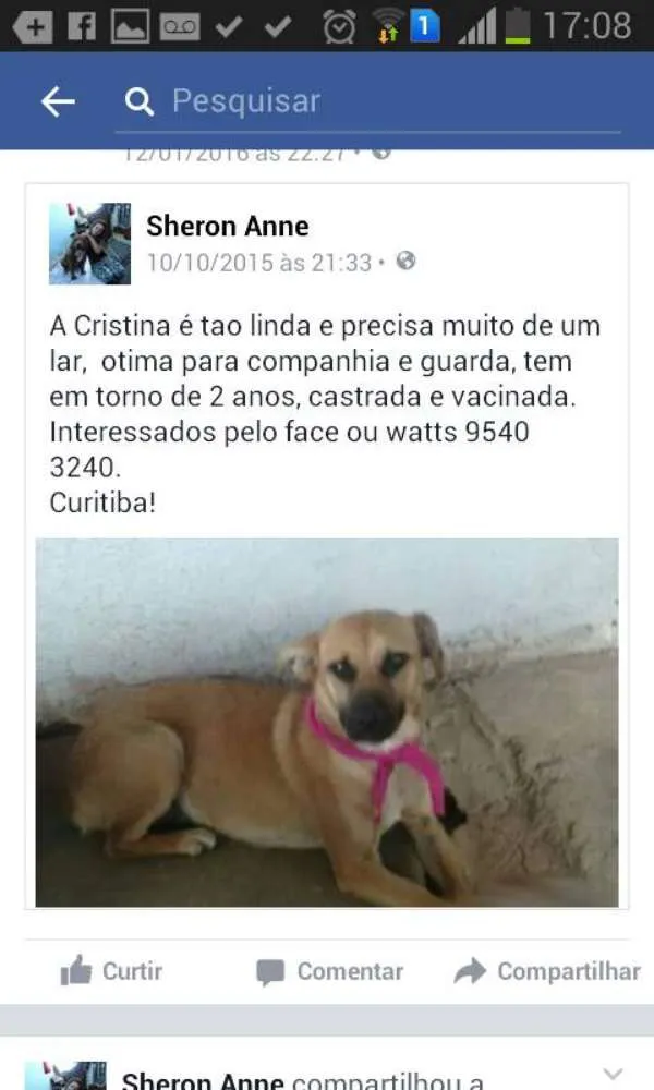 Cachorro ra a SRD idade  nome Cristina