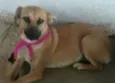 Cristina