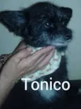 Tonico