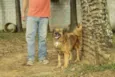 ZINGO, Lindo!