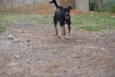 ALEFF,Paixão!