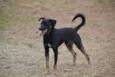 ALEFF,Paixão!