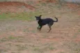 ALEFF,Paixão!