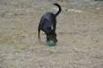 ALEFF,Paixão!