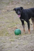 ALEFF,Paixão!