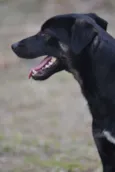 ALEFF,Paixão!