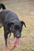 ALEFF,Paixão!