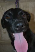 ALEFF,Paixão!