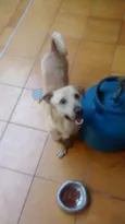 Marley
