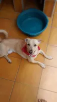 Marley