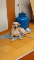 Marley