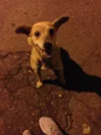 Não Sei