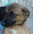 Kira