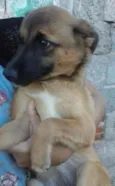 Kira