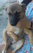 Kira