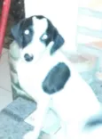 Boby / Xuxa 