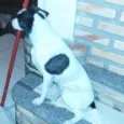 Boby / Xuxa 