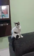 José e Julieta