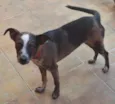 Mel