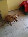 Oliver