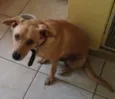 Oliver