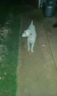 MR