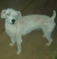 MR