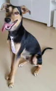 Bê