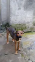 MENINA