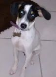 PipoKa