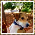 Costelinha, João Gr