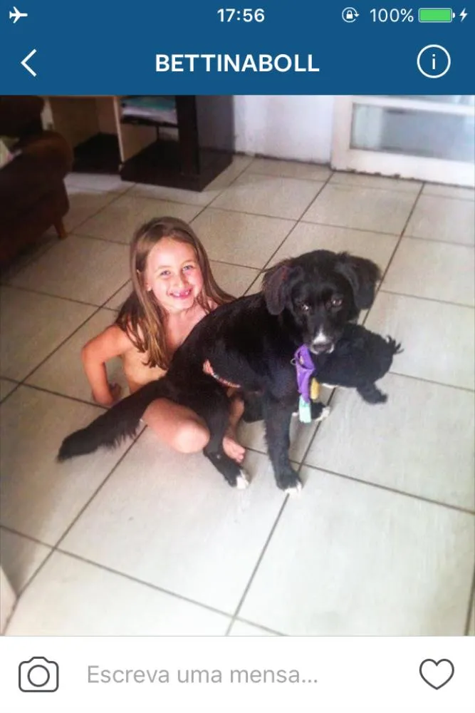 Cachorro ra a Vira lata idade 7 a 11 meses nome Greta