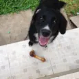 Greta