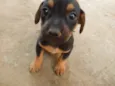 Sammy 