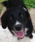 Greta