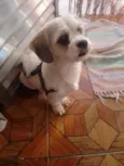 LULU