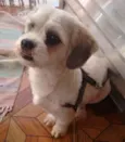 LULU